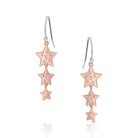 Women's Montana Silversmiths Trio of Wishes Earrings ER6311