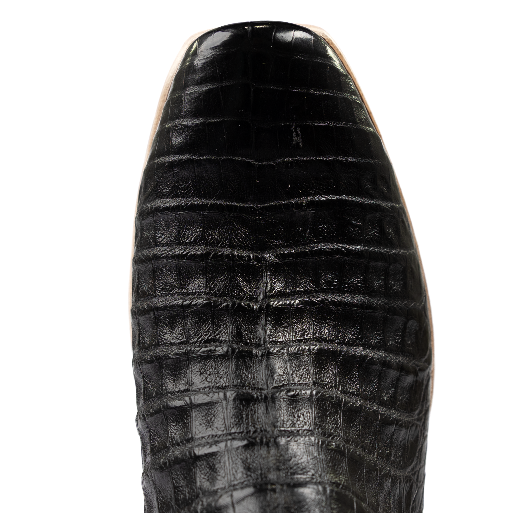 Men's Horse Power Top Hand Black Caiman Belly with 13" Violet Glossy Goat Top HP9513