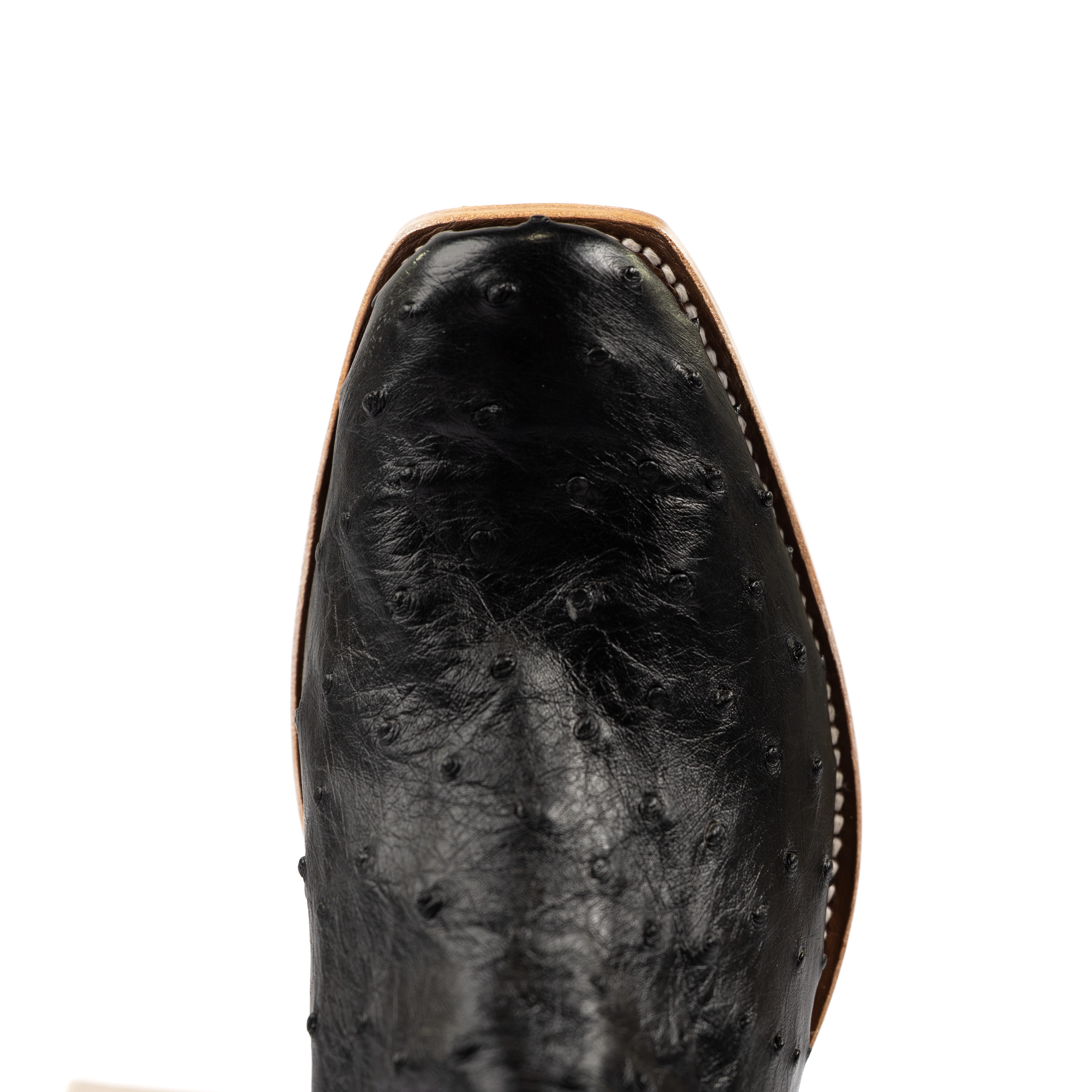 Men's Horse Power Top Hand Black Full Quill Ostrich with 13" Azure New Orleans Tops HP9533