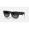 Ray-Ban Black Mega Wayfarer Liteforce Sunglasses 0RB4840S-601ST350