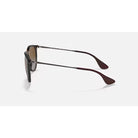 Ray-Ban Brown Havana Erika Classic Sunglasses RB4171-710/T5