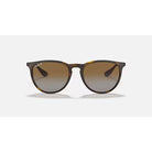 Ray-Ban Brown Havana Erika Classic Sunglasses RB4171-710/T5