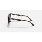 Ray-Ban Brown Havana Gradient Sunglasses RB4378-710